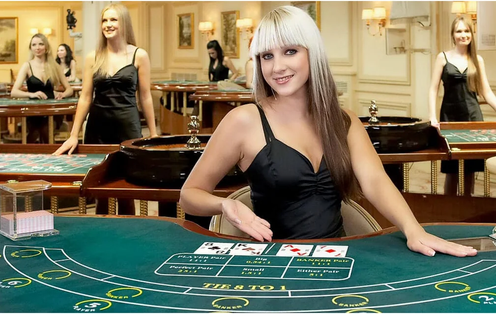 Antarmuka meja kasino live dengan tampilan dealer dan area permainan